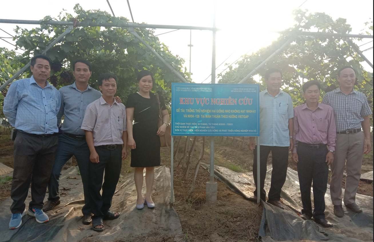Sở Khoa học và Công nghệ Ninh Thuận tổ chức kiểm tra, đánh giá định kỳ kết quả tiến độ thực hiện các đề tài do Viện Nghiên cứu Bông và PTNN Nha Hố chủ trì