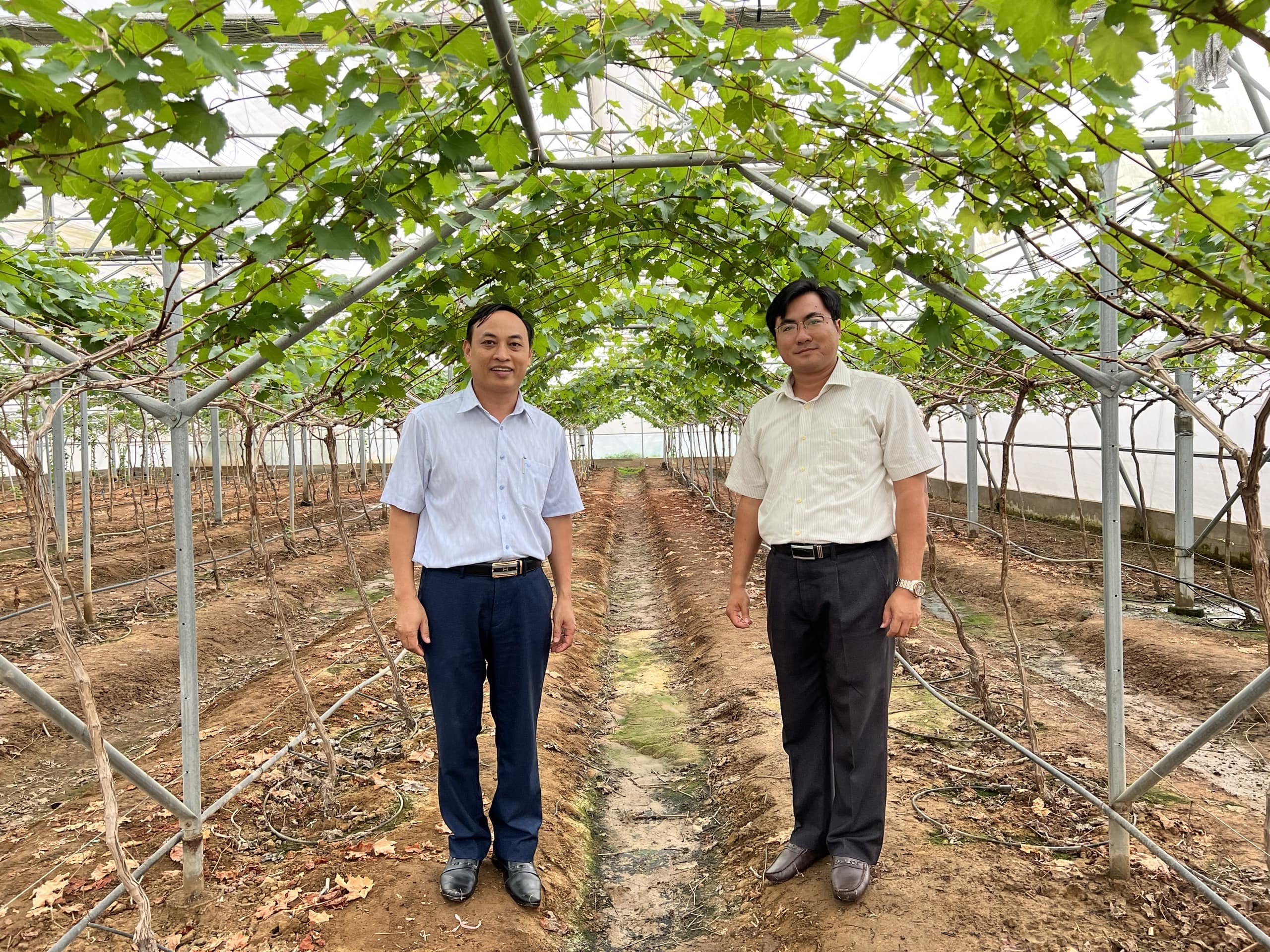 Viện nghiên cứu Bông và Phát triển nông nghiệp Nha Hố tiếp và làm việc với Sở Khoa học và Công nghệ Bình Thuận