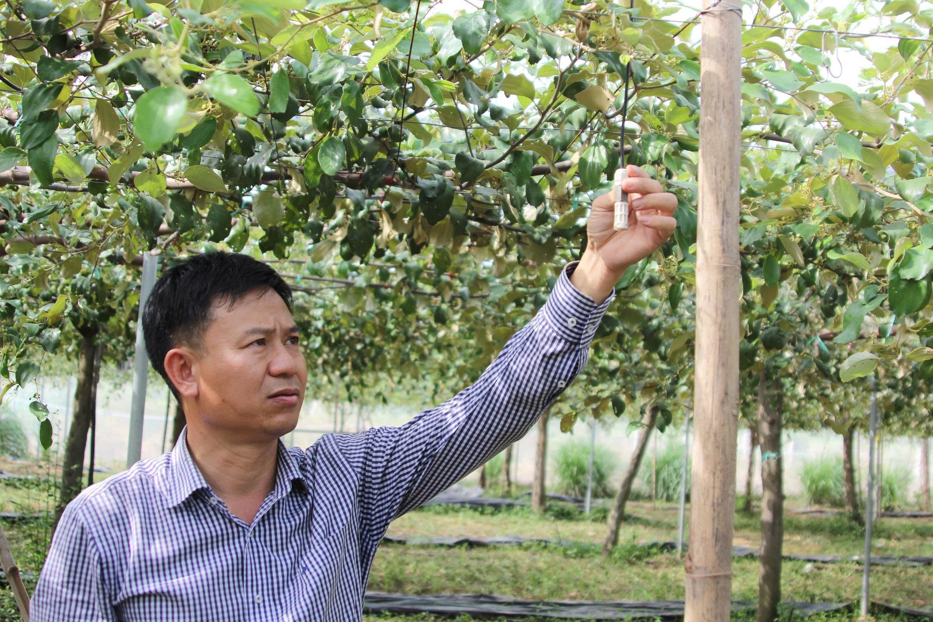 Developing high-tech agriculture: Turning challenges into advantages