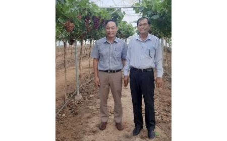 Lãnh đạo huyện ủy Ninh Sơn Thăm, chúc Tết Viện Nghiên cứu Bông và Phát triển Nông nghiệp Nha Hố