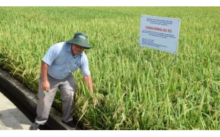 Gắn nghiên cứu khoa học với chuyển giao tiến bộ kỹ thuật đến nông dân
