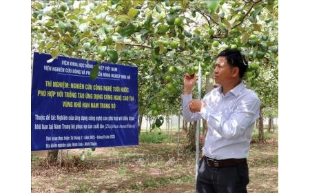 Nghị quyết 57-NQ/TW - Bước ngoặt mới cho phát triển nông nghiệp bền vững